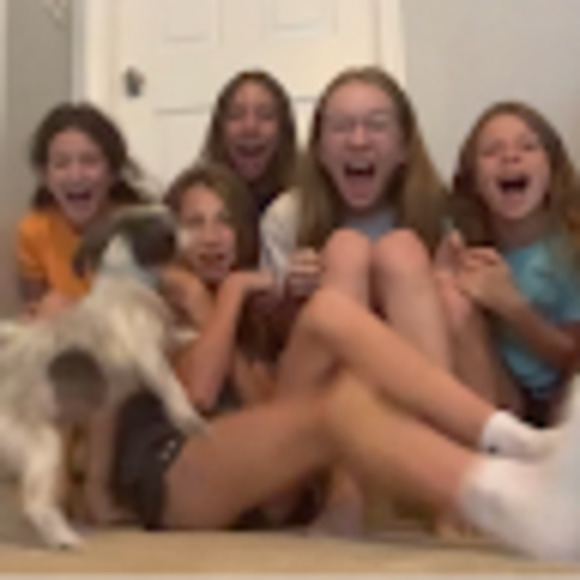 Meet your Posher, Molly - Picture 1 of 1